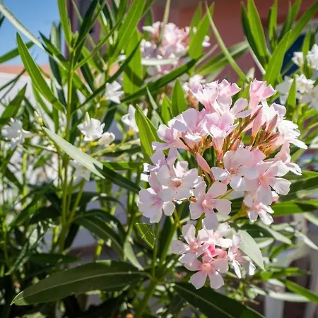 10min Da Bosa Marina - Con Giardino E Parcheggio Lejlighed Tresnuraghes
