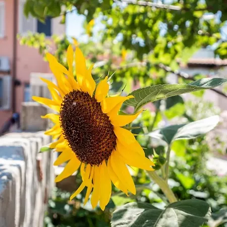 10min Da Bosa Marina - Con Giardino E Parcheggio * Tresnuraghes
