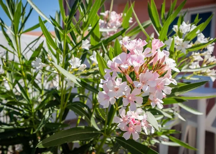 10min Da Bosa Marina - Con Giardino E Parcheggio 公寓 特雷斯努拉吉斯